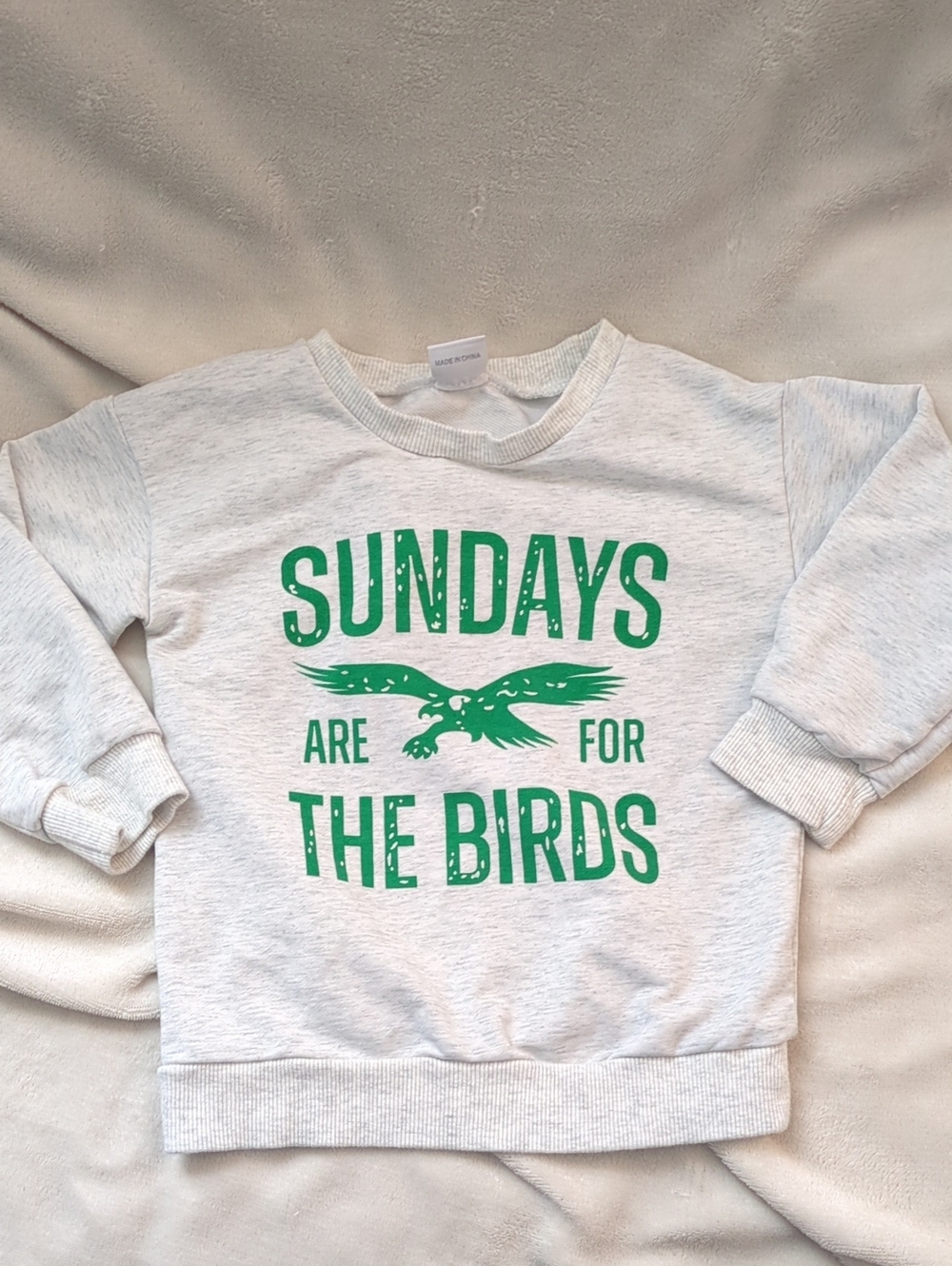 Kids NFL Eagles Sweatshirt with Green "Sundays Are For The Birds"